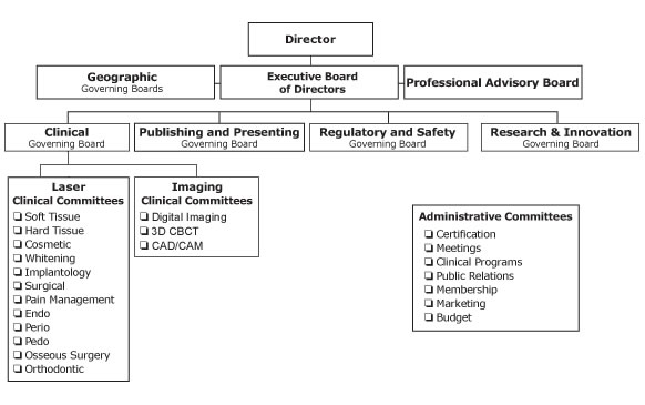 Dental Clinic Organizational Chart